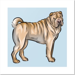 Cute Sharpei Dog | Fawn Posters and Art